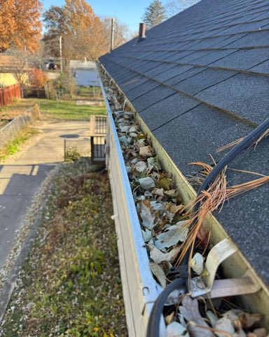 Gutter cleaning service