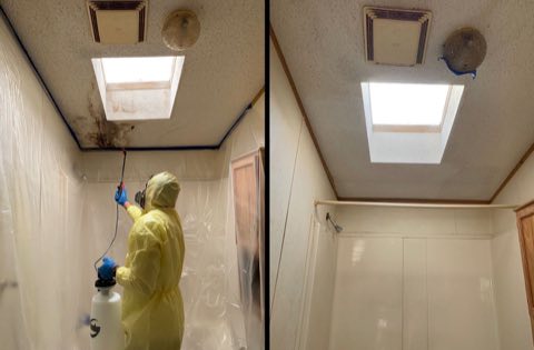 Mold removal and ceiling refinishing